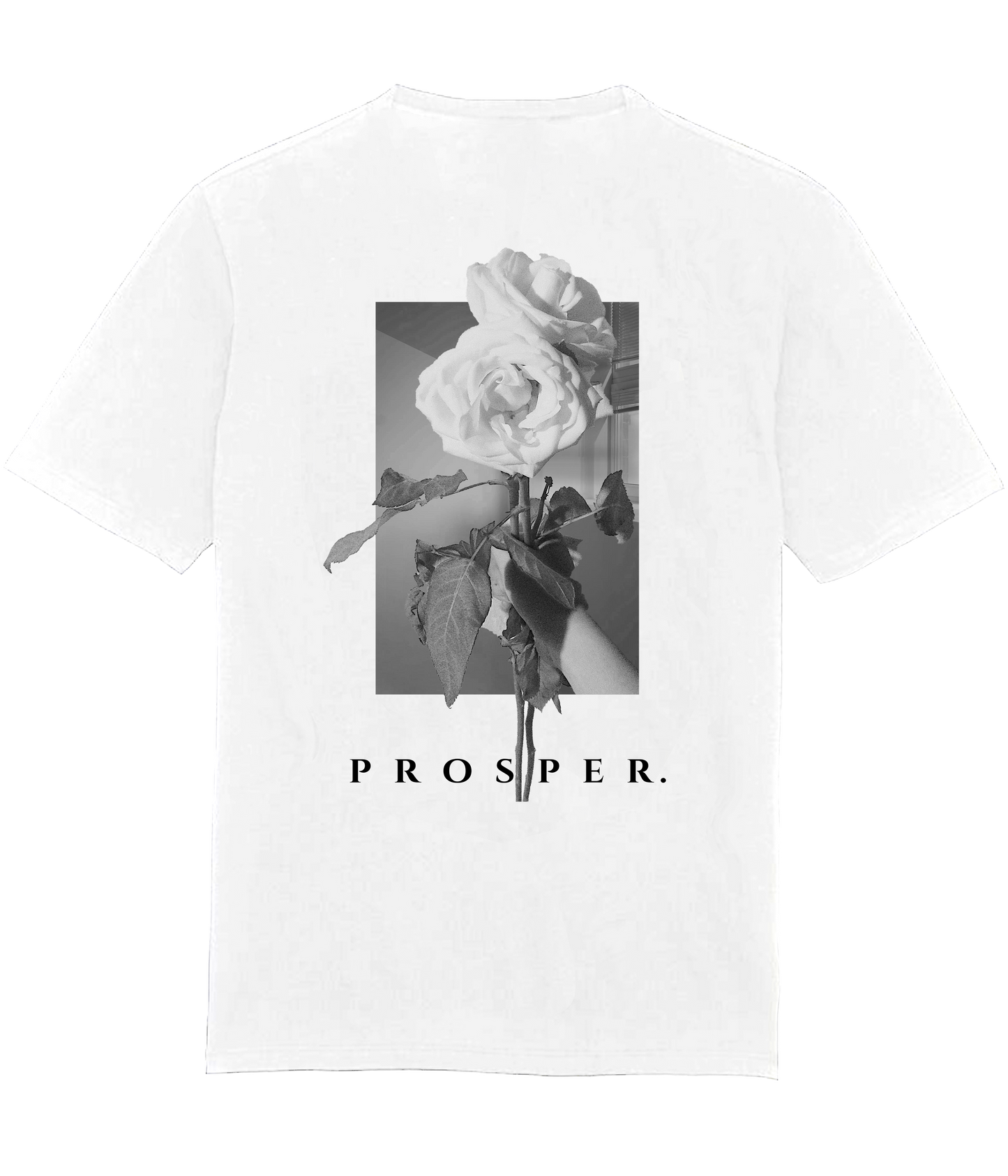 Prosper T-Shirt